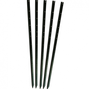 Star Picket Posts- Pack of 10